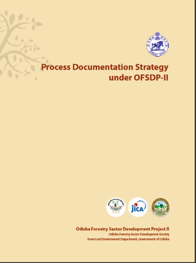 Process Documentation Strategy